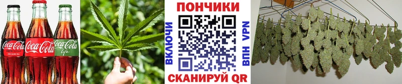 цены   Нолинск  Еда ТГК конопля 