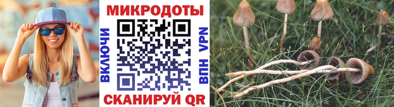 Псилоцибиновые грибы мухоморы Нолинск